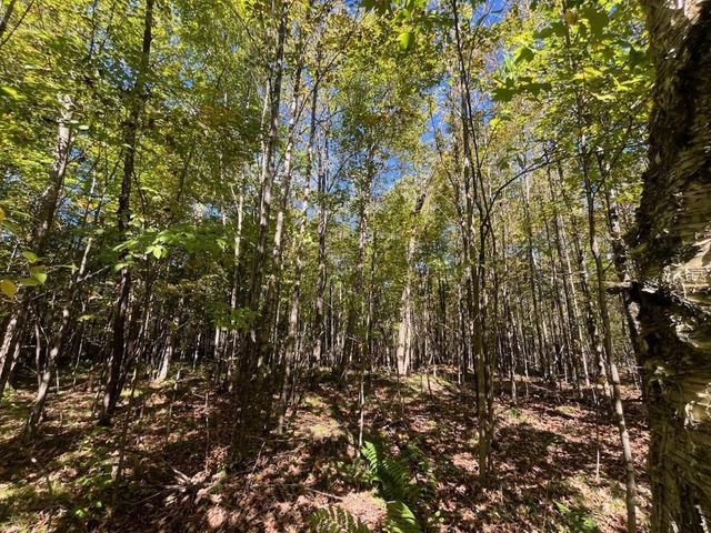 PETERSON ROAD, Gleason, WI 54435