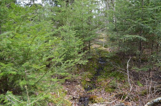 PETERSON ROAD, Gleason, WI 54435