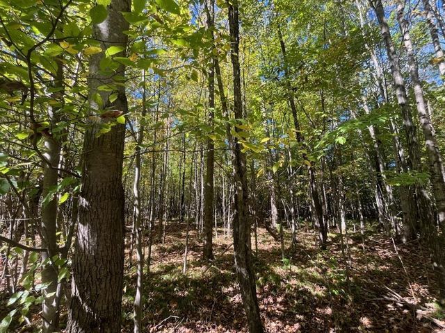 PETERSON ROAD, Gleason, WI 54435