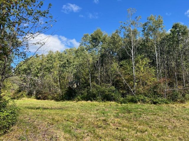 PETERSON ROAD, Gleason, WI 54435