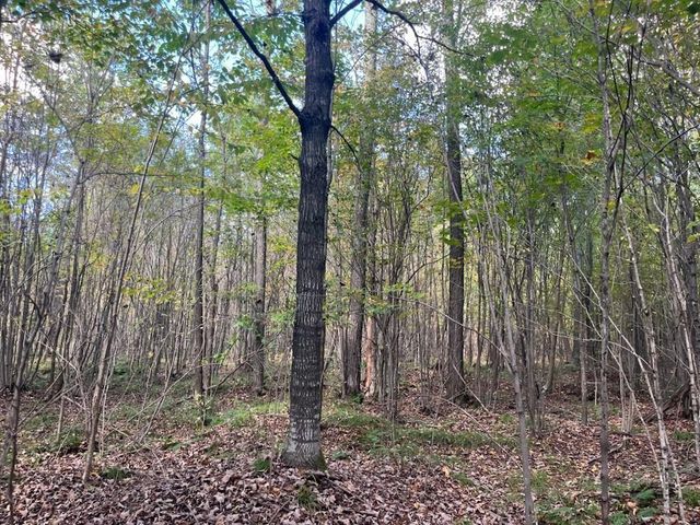 PETERSON ROAD, Gleason, WI 54435