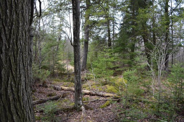 PETERSON ROAD, Gleason, WI 54435