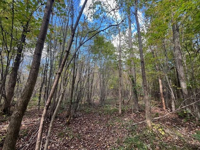 PETERSON ROAD, Gleason, WI 54435