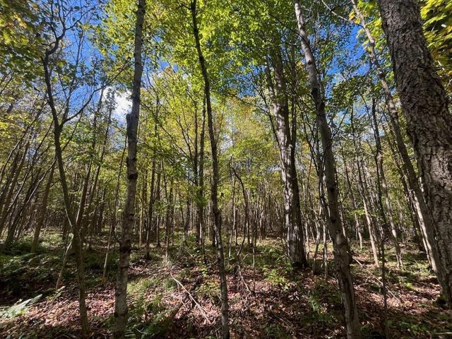 PETERSON ROAD, Gleason, WI 54435