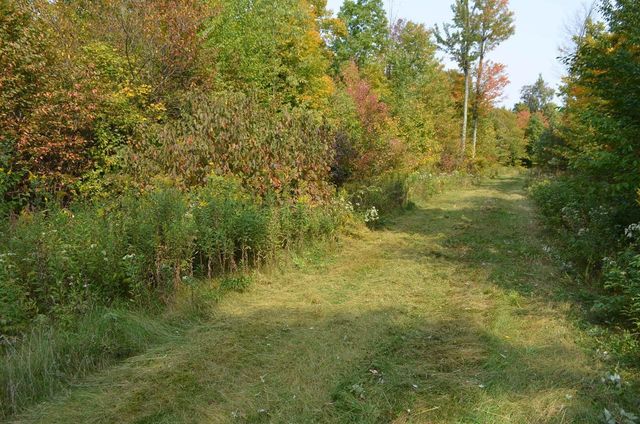 PETERSON ROAD, Gleason, WI 54435