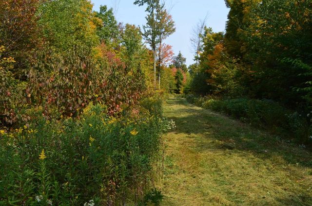 PETERSON ROAD, Gleason, WI 54435