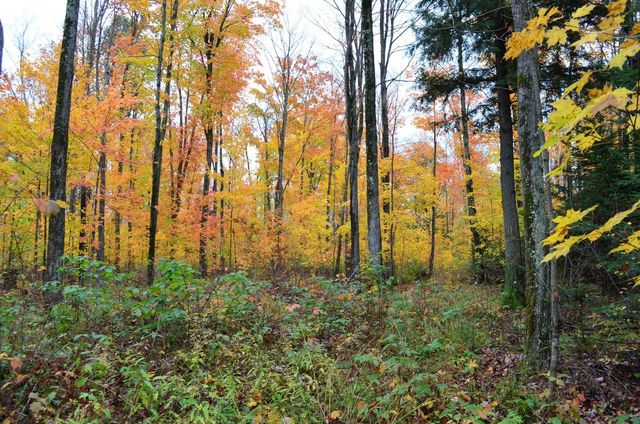 PETERSON ROAD, Gleason, WI 54435