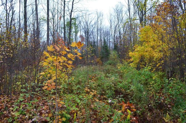 PETERSON ROAD, Gleason, WI 54435