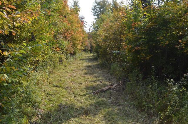 PETERSON ROAD, Gleason, WI 54435