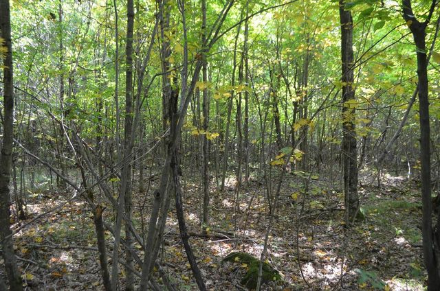 PETERSON ROAD, Gleason, WI 54435