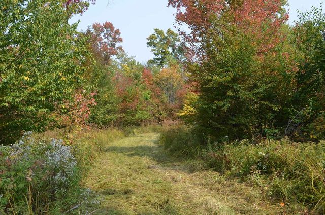 PETERSON ROAD, Gleason, WI 54435