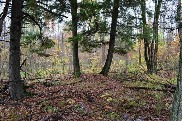 PETERSON ROAD, Gleason, WI 54435