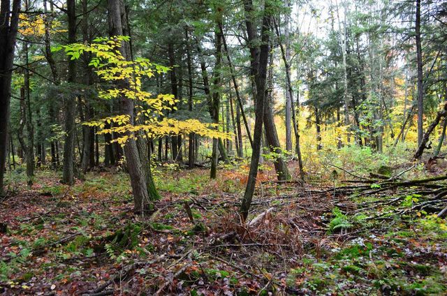 PETERSON ROAD, Gleason, WI 54435