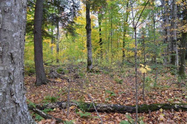 PETERSON ROAD, Gleason, WI 54435