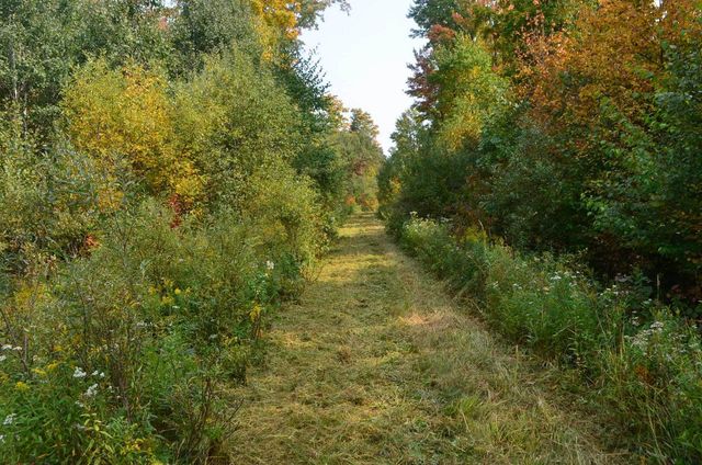 PETERSON ROAD, Gleason, WI 54435