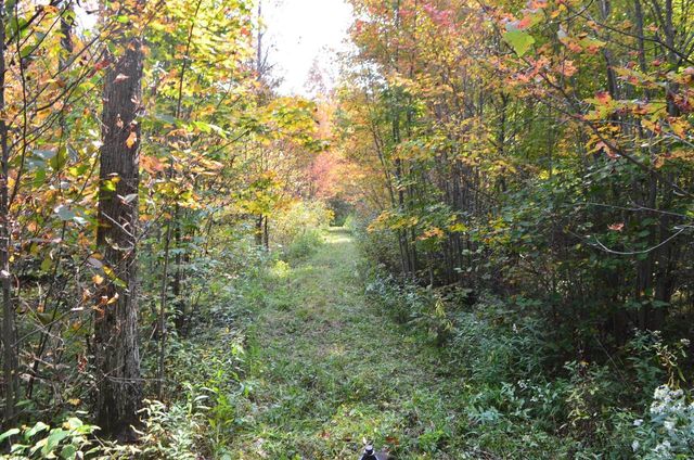 PETERSON ROAD, Gleason, WI 54435