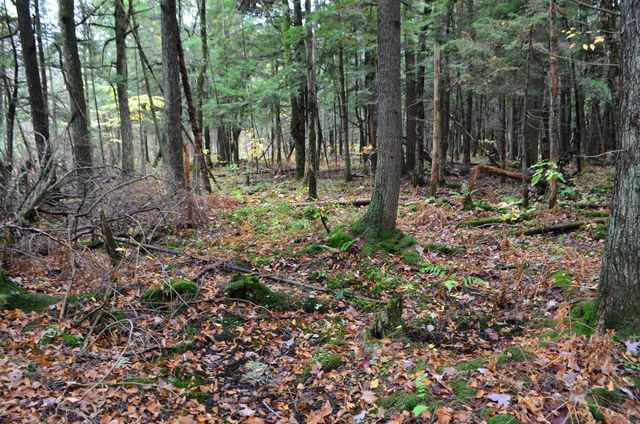 PETERSON ROAD, Gleason, WI 54435