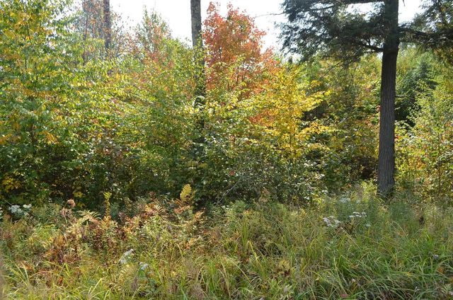 PETERSON ROAD, Gleason, WI 54435