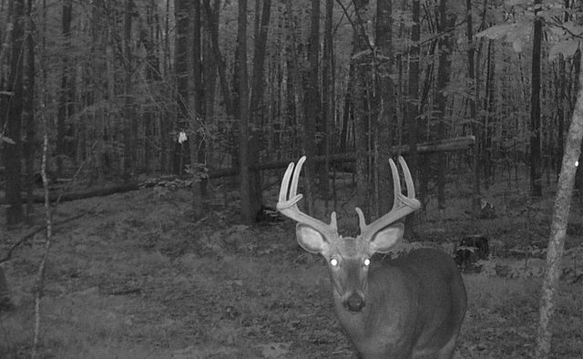 PETERSON ROAD, Gleason, WI 54435