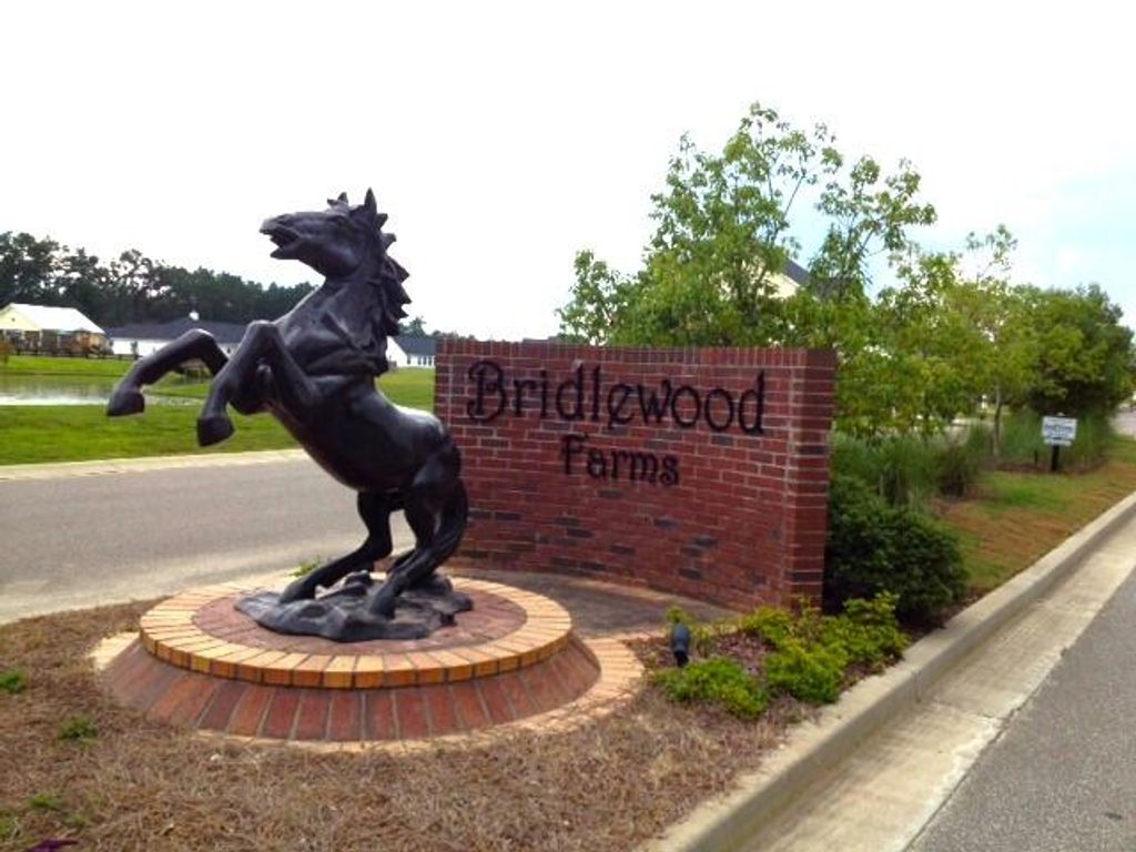 Image 40 of property listing at 1022 Bridlewood Farms Parkway, Ridgeville, SC 29472