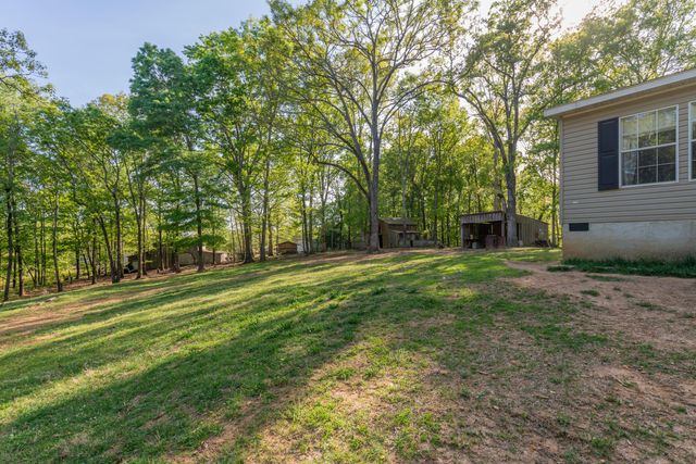 13323 Ellison Trace, Birchwood, TN 37308