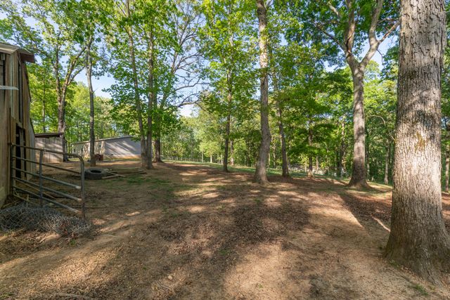 13323 Ellison Trace, Birchwood, TN 37308