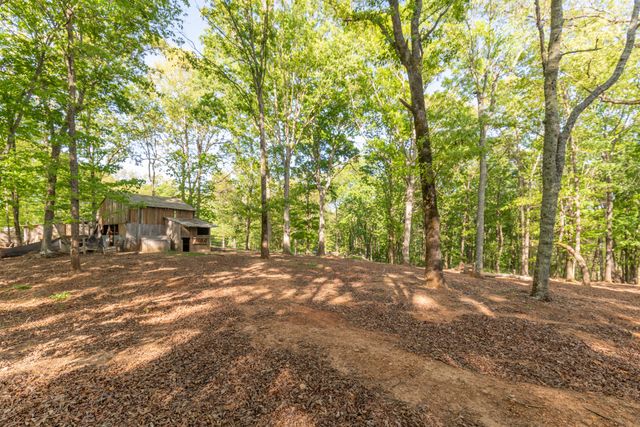 13323 Ellison Trace, Birchwood, TN 37308