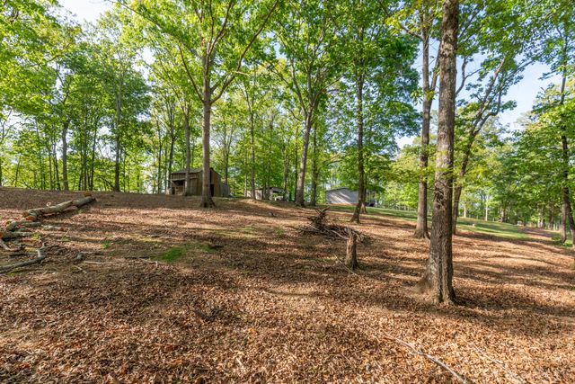 13323 Ellison Trace, Birchwood, TN 37308