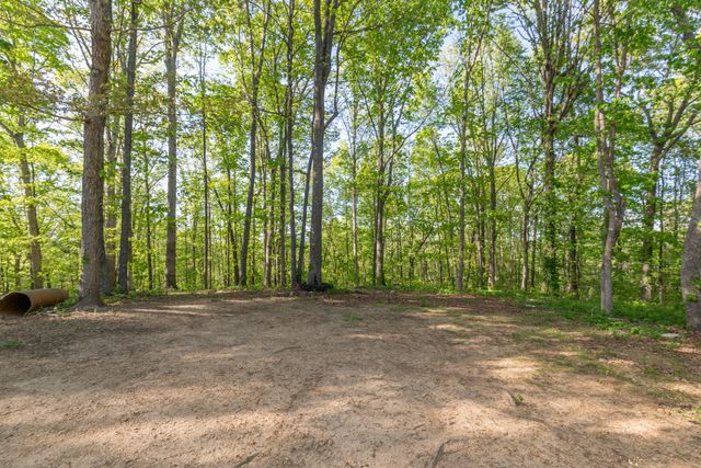 13323 Ellison Trace, Birchwood, TN 37308