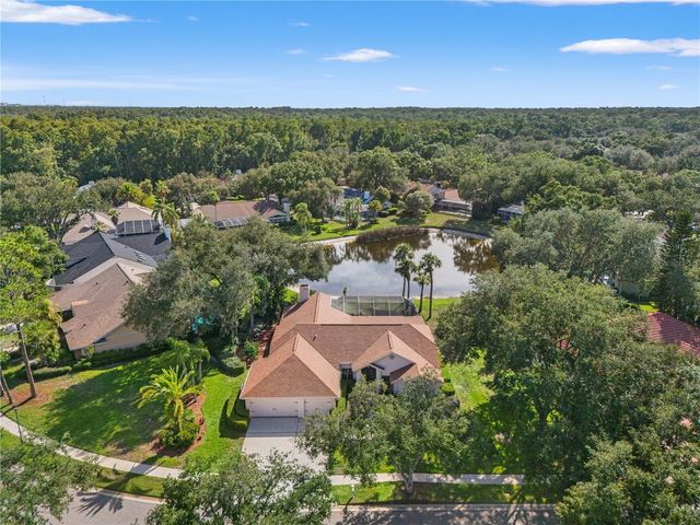 15923 ELLSWORTH DRIVE, Tampa, FL 33647