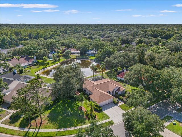 15923 ELLSWORTH DRIVE, Tampa, FL 33647