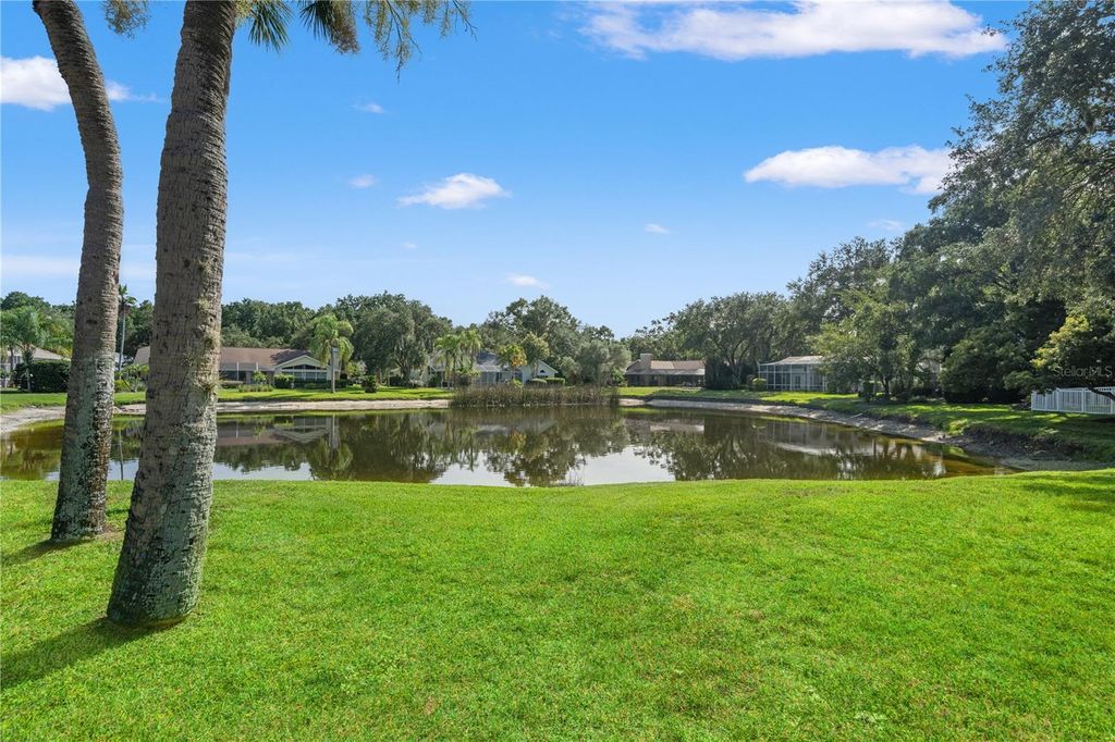 Image 57 of property listing at 15923 ELLSWORTH DRIVE, Tampa, FL 33647