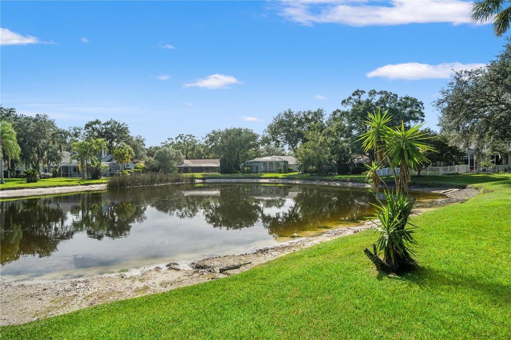 Image 63 of property listing at 15923 ELLSWORTH DRIVE, Tampa, FL 33647