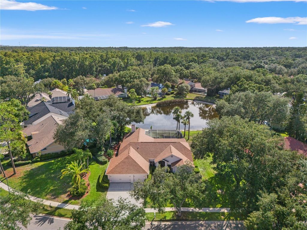 Image 66 of property listing at 15923 ELLSWORTH DRIVE, Tampa, FL 33647