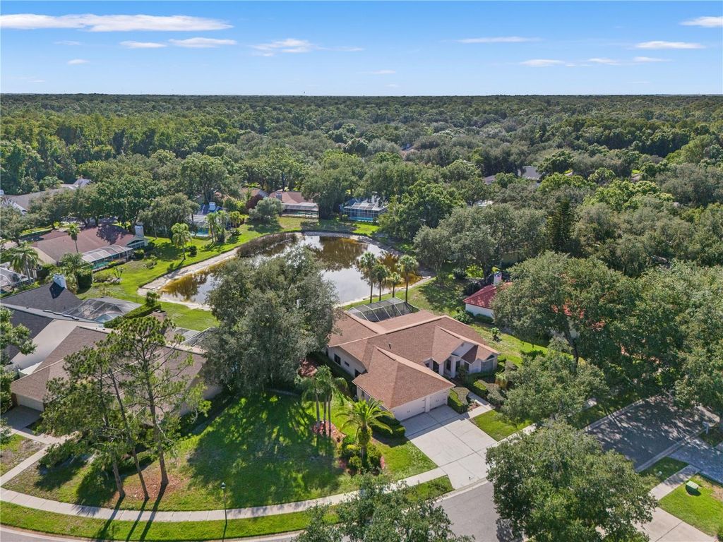 Image 68 of property listing at 15923 ELLSWORTH DRIVE, Tampa, FL 33647