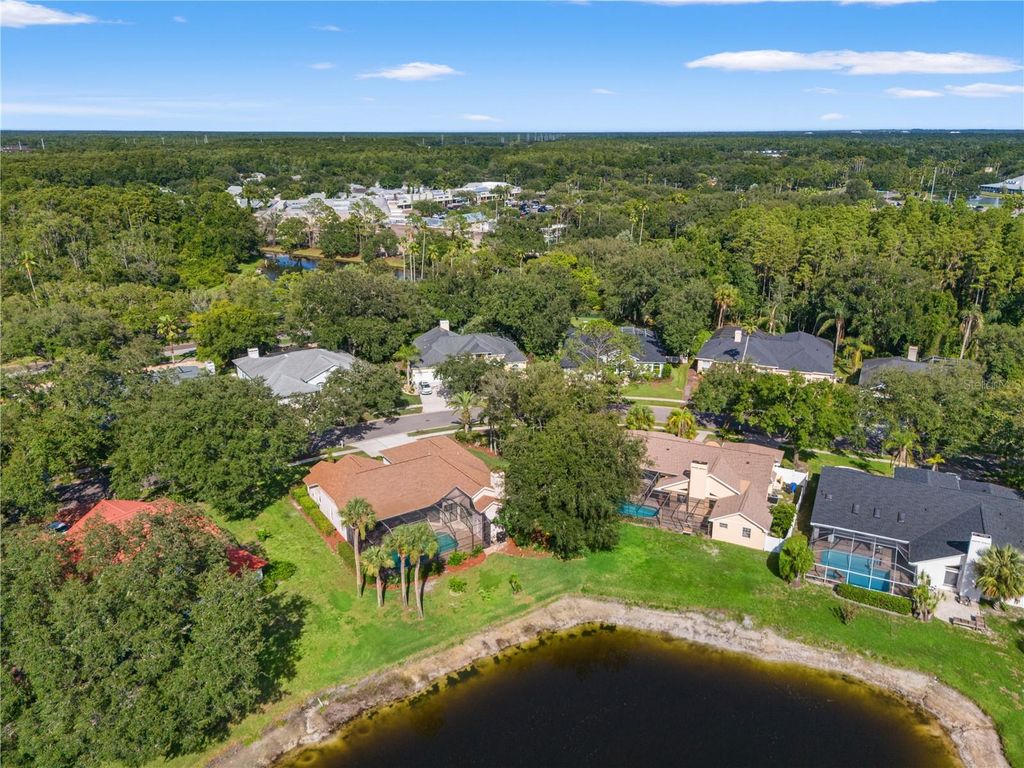 Image 72 of property listing at 15923 ELLSWORTH DRIVE, Tampa, FL 33647
