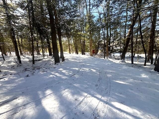 76 Park Lane, Yulan, NY 12792