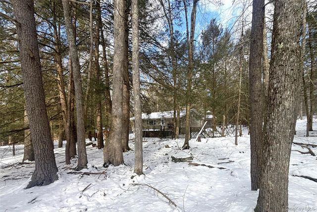 76 Park Lane, Yulan, NY 12792