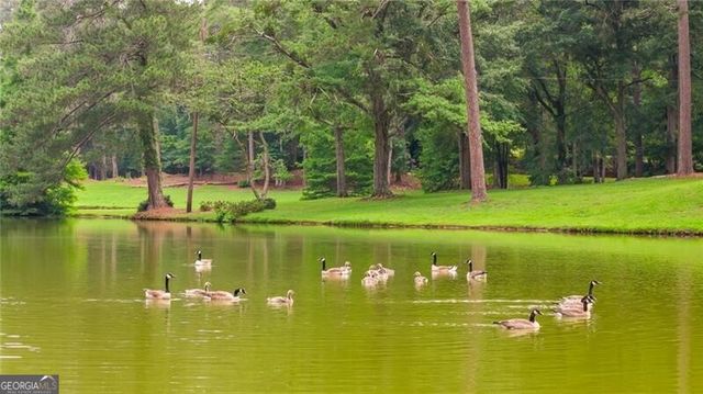 10180 Capps Ferry Road, Chattahoochee Hills, GA 30268