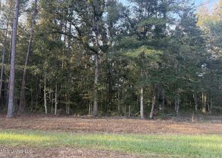 00 Friendship Circle, Forest, MS 39074