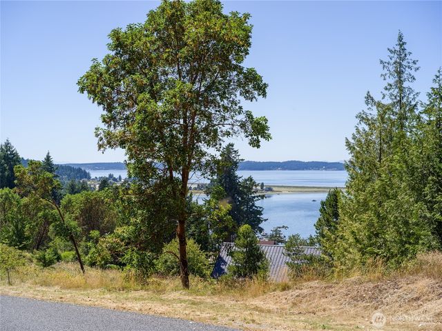 295 Rum Runner Rd, Lopez Island, WA 98261