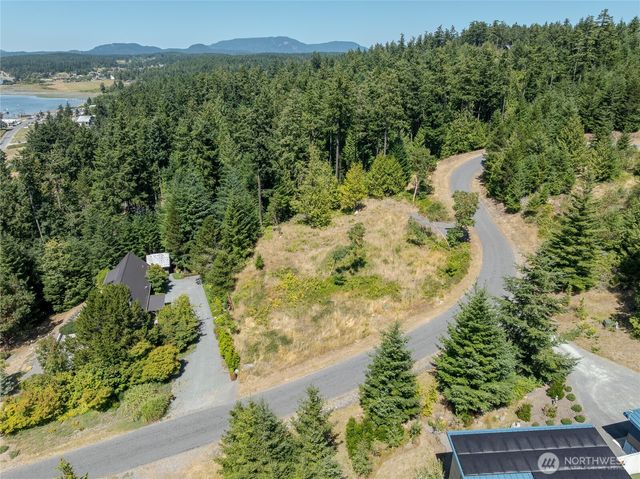 295 Rum Runner Rd, Lopez Island, WA 98261