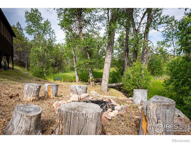950 Meadow Creek Road, Livermore, CO 80536