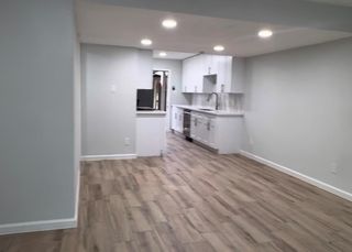 10126 Emnora Lane, Houston, TX 77080