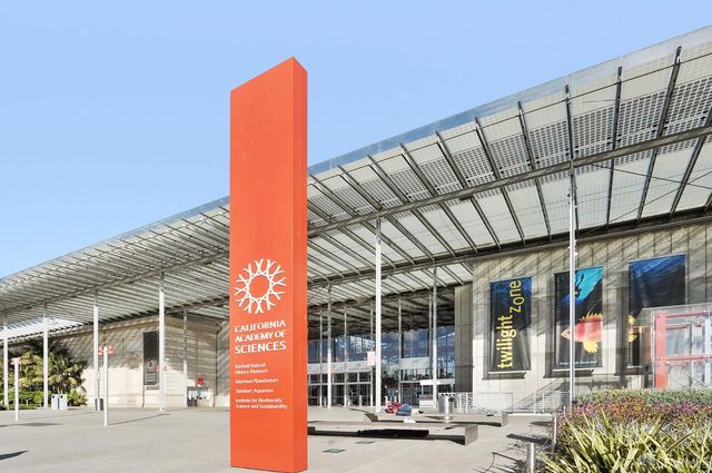 494 46th Avenue, San Francisco, CA 94121