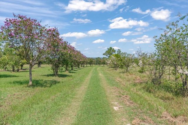 2503A Vz County Road 3804, Wills Point, TX 75169
