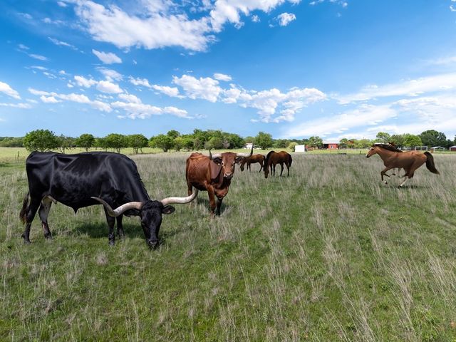 2503A Vz County Road 3804, Wills Point, TX 75169