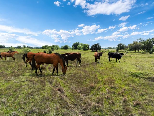 2503A Vz County Road 3804, Wills Point, TX 75169