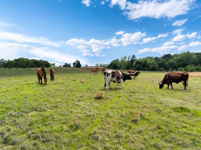 2503A Vz County Road 3804, Wills Point, TX 75169