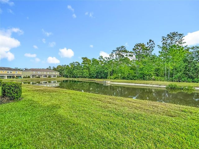 20451 BERRYWOOD LANE, Tampa, FL 33647